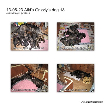 Grizzly's dag 18 alweer